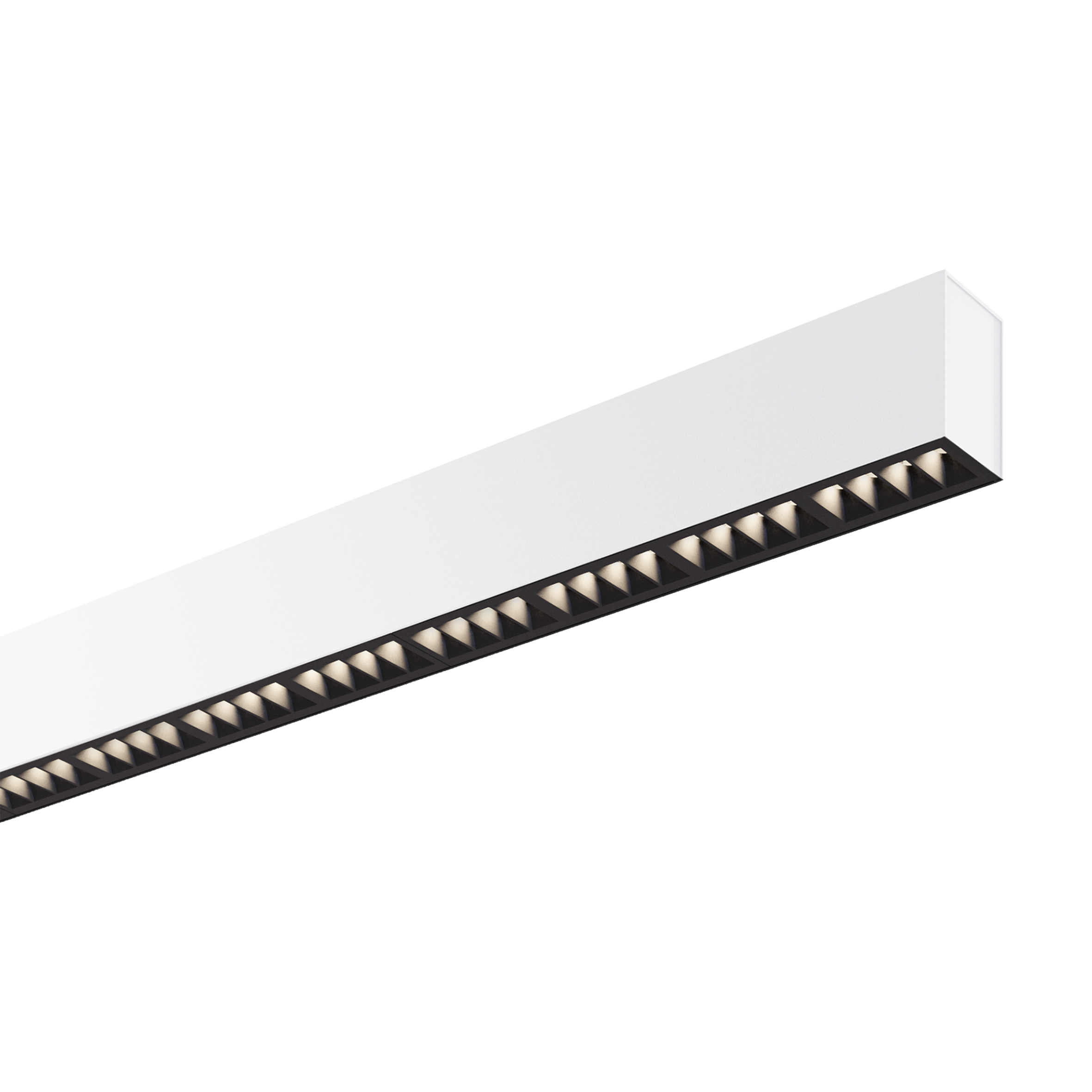 TWOS 65525/224-WCW