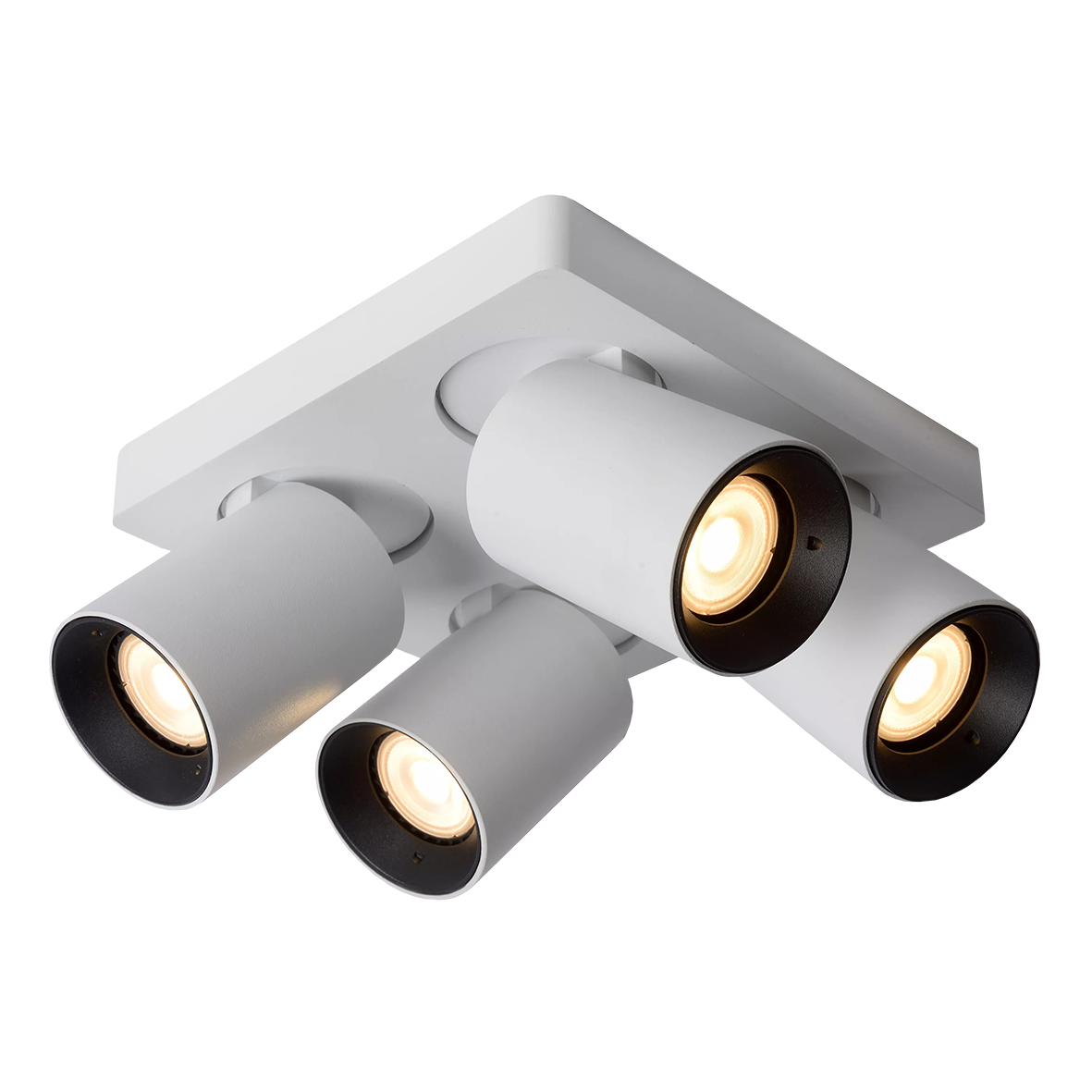 SCALA 12124/20-W