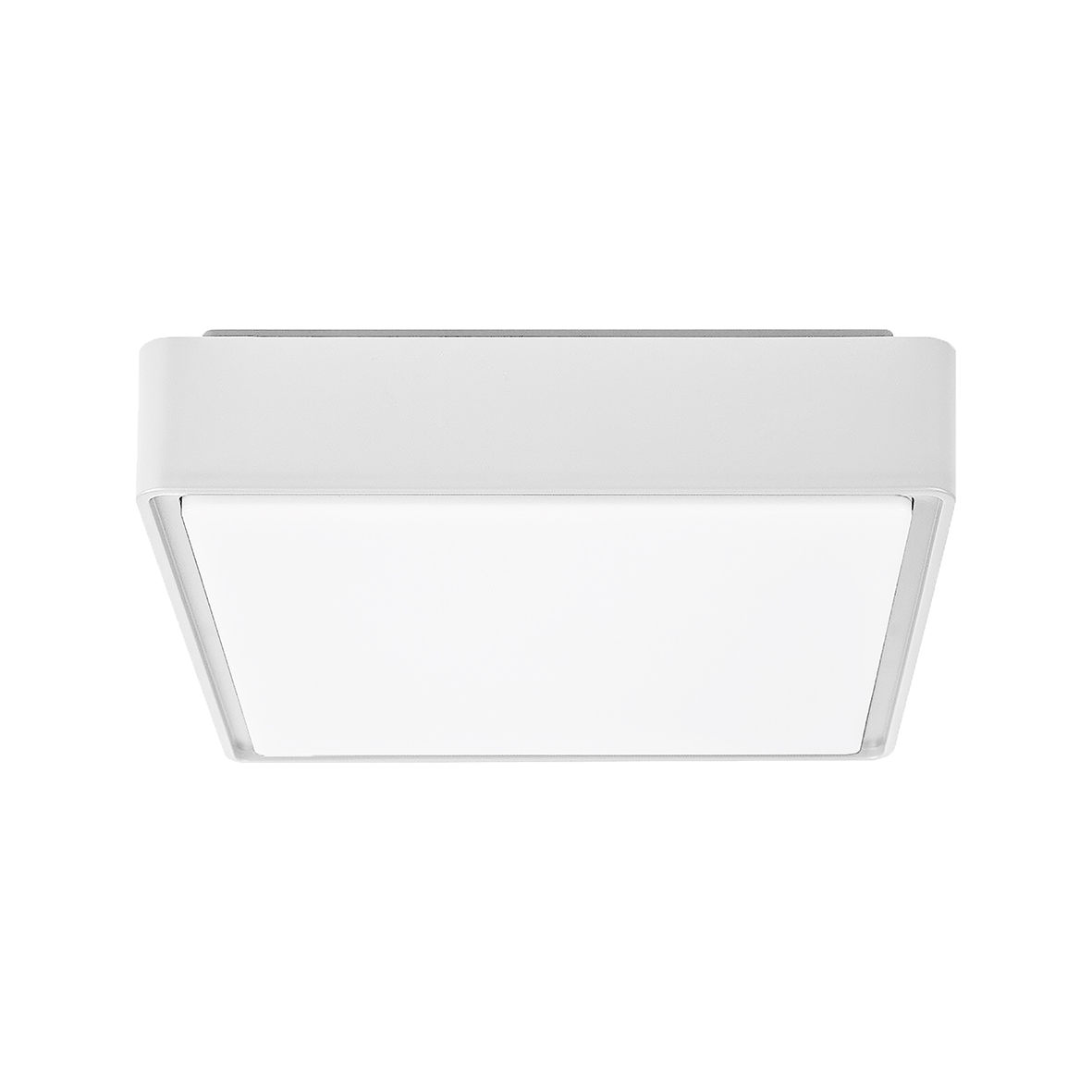 PLUG 80675/40DALI-W