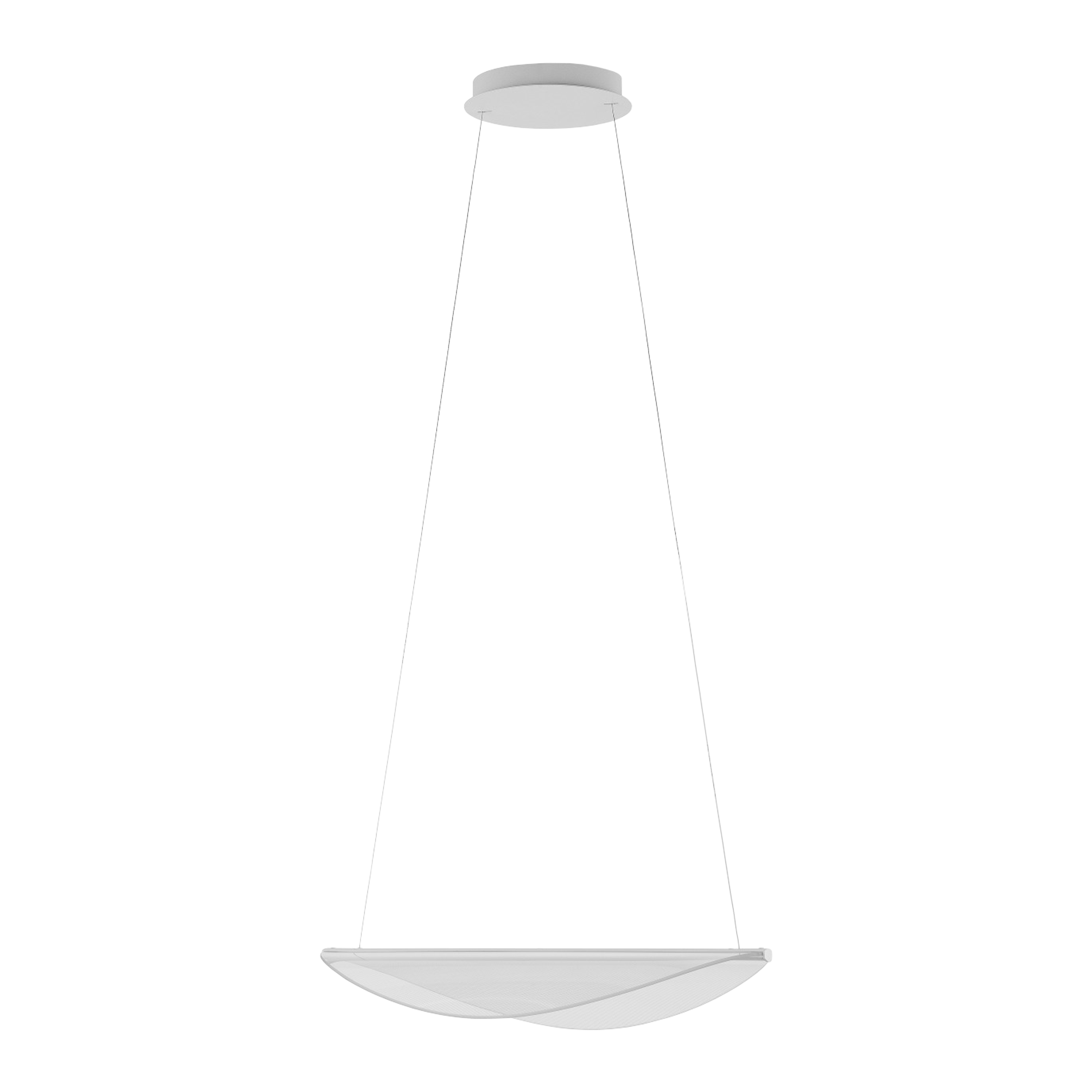 DIPHY 33606/54TRI