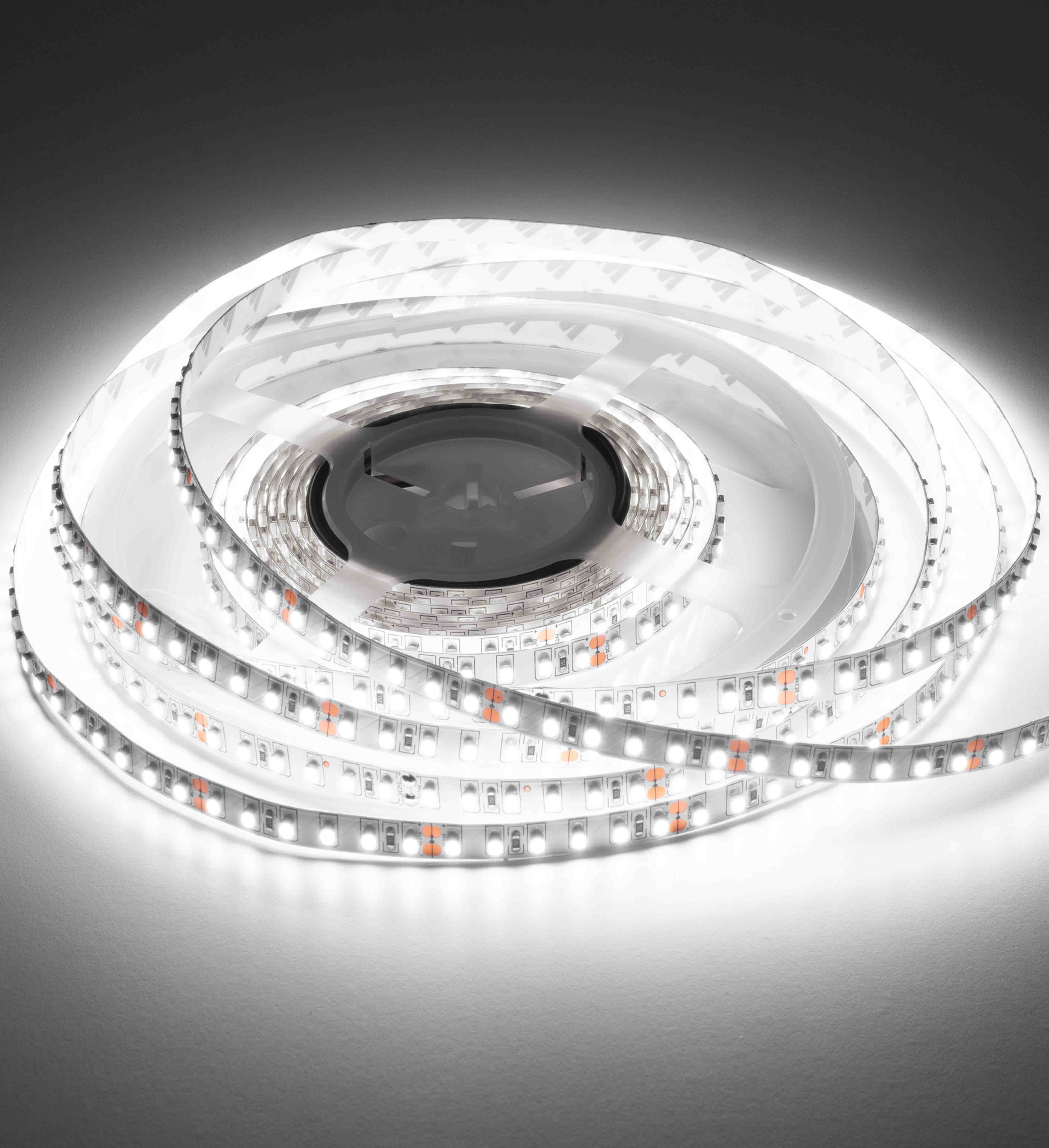 LED STRIPS24 69106/600-CW