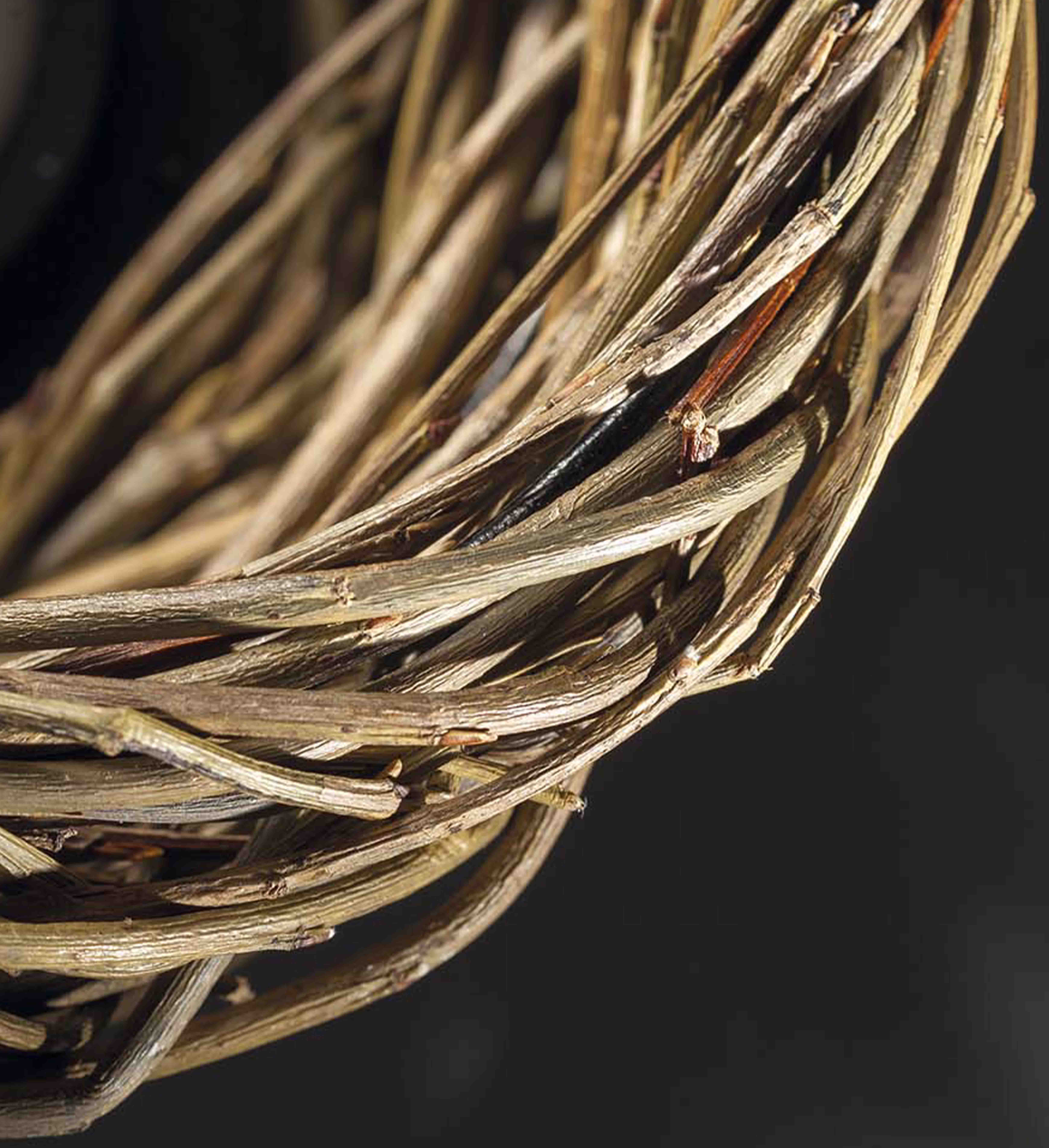 NEST 86840/17-SWW