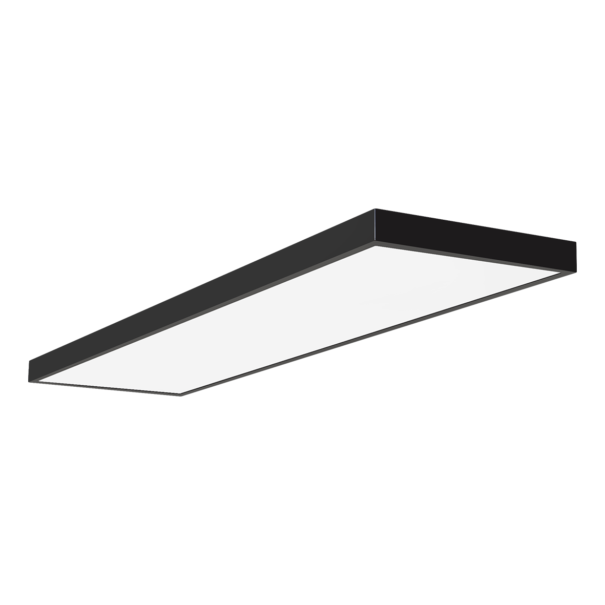 TAYLOR 54979/48-SCCT