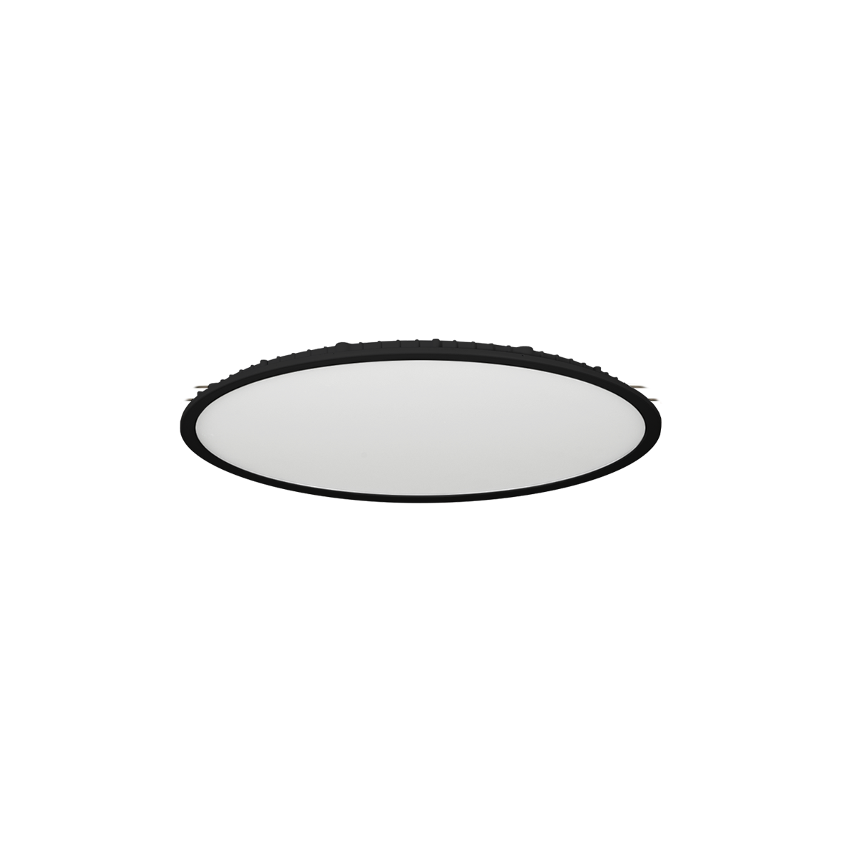 TAYLOR 54970/12-SCCT