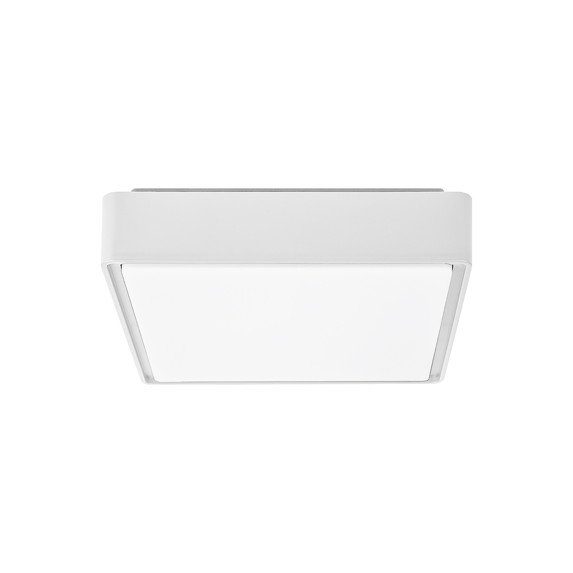 PLUG 80675/30DALI-W