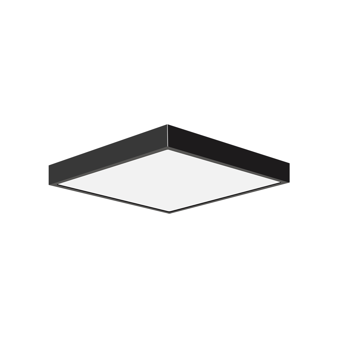 TAYLOR 54976/24-SCCT
