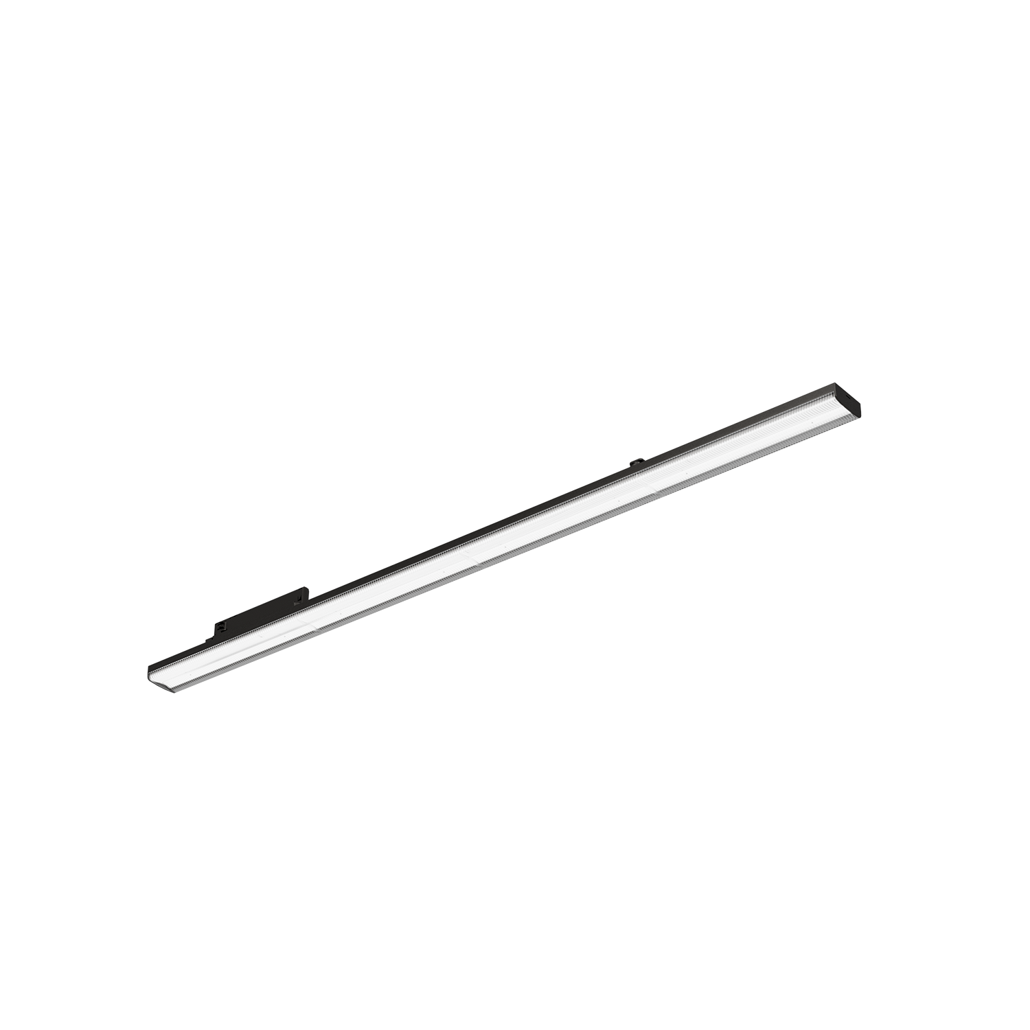 LYNN 67124/120-SCCT