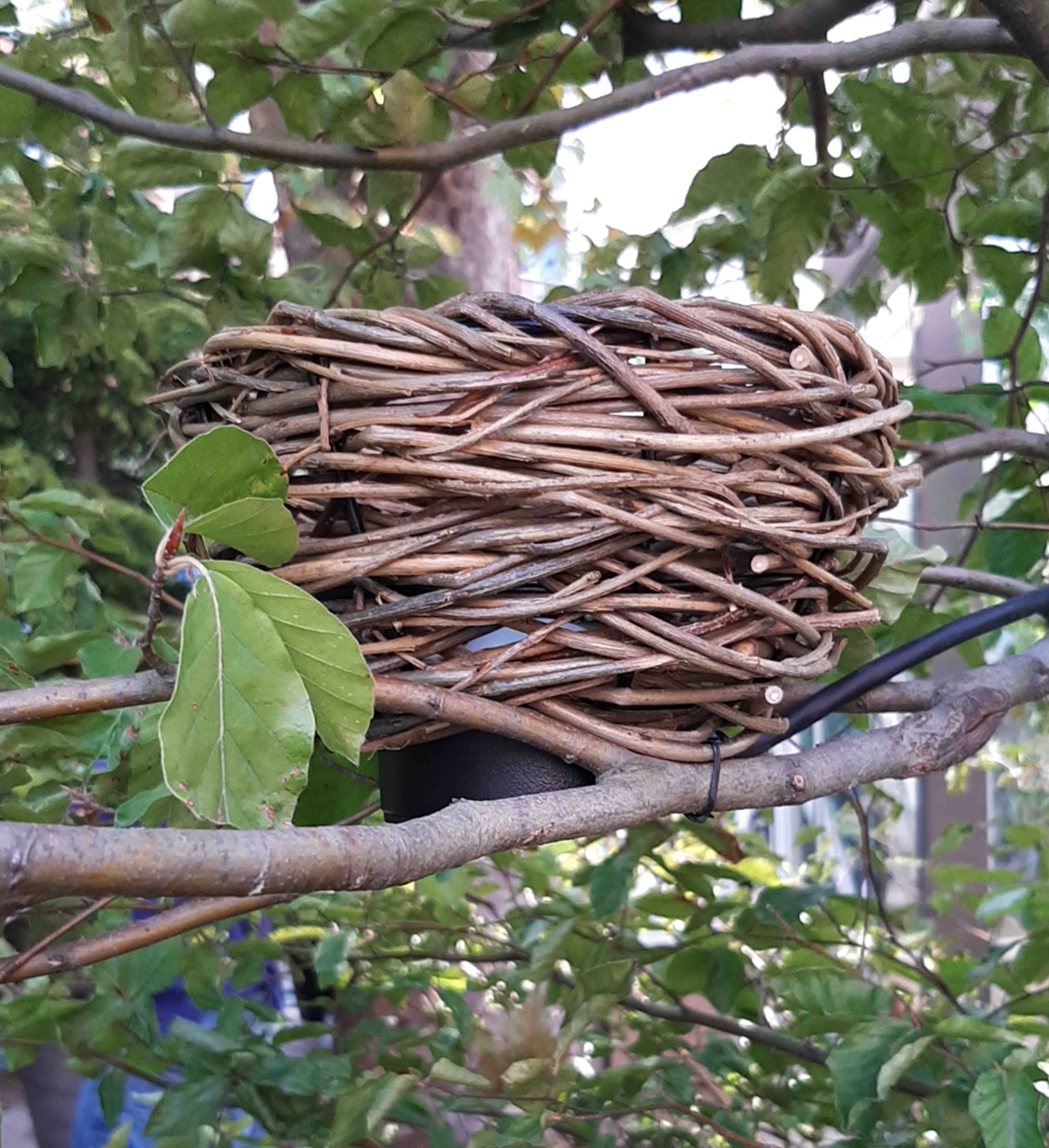 NEST 86840/17-SWW