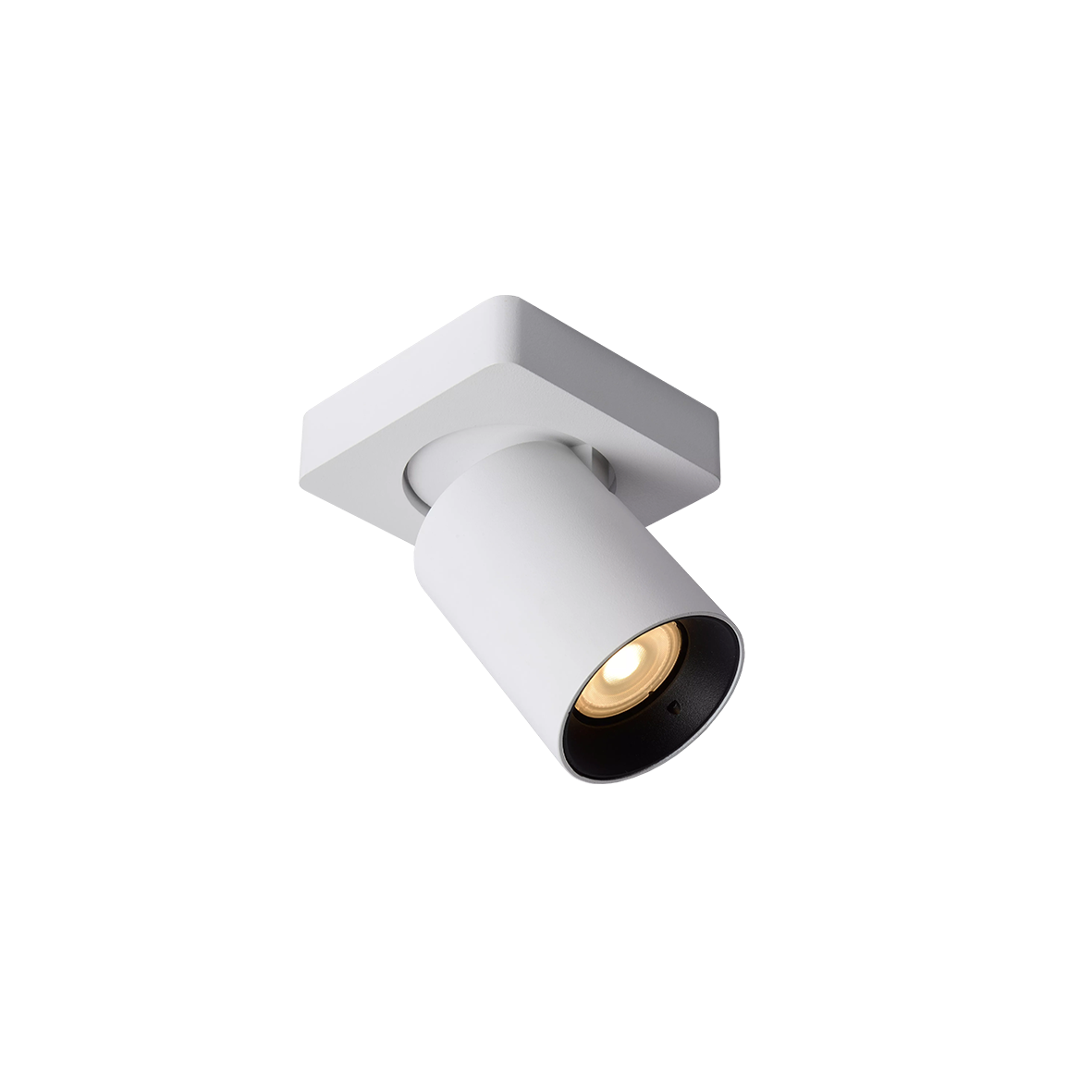SCALA 12120/10-W