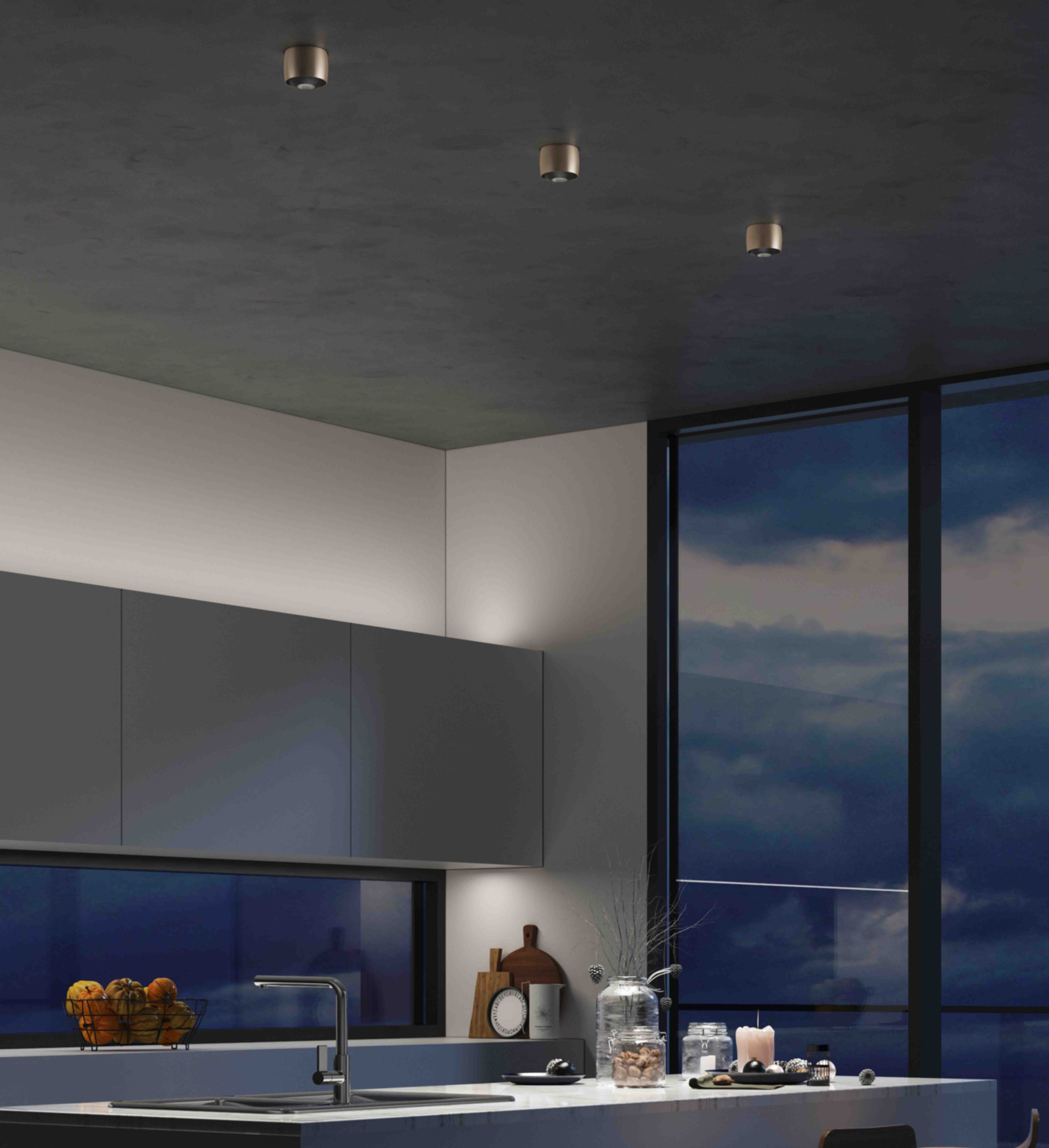 DIGNITY 31920/10-SSWW