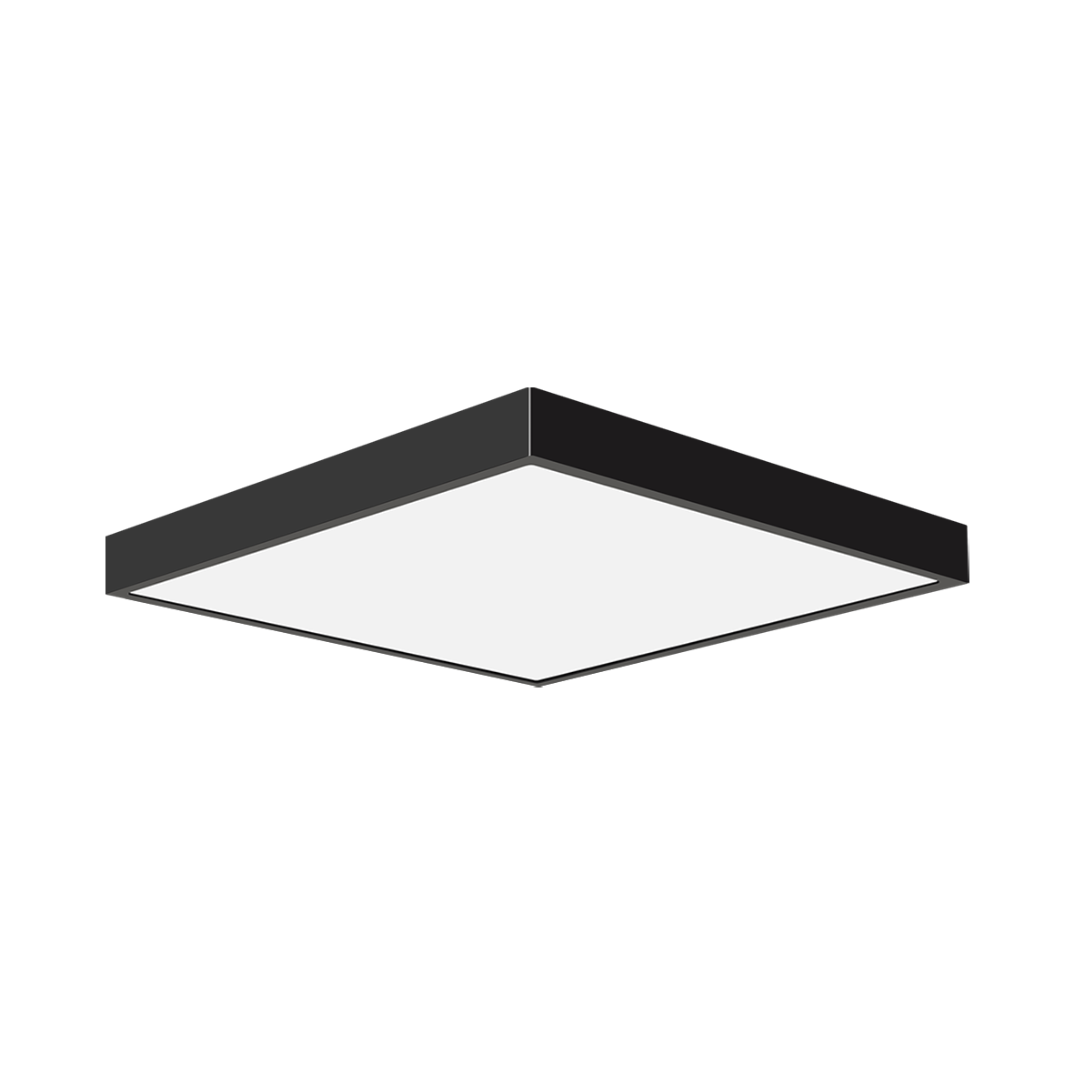 TAYLOR 54976/30-SCCT