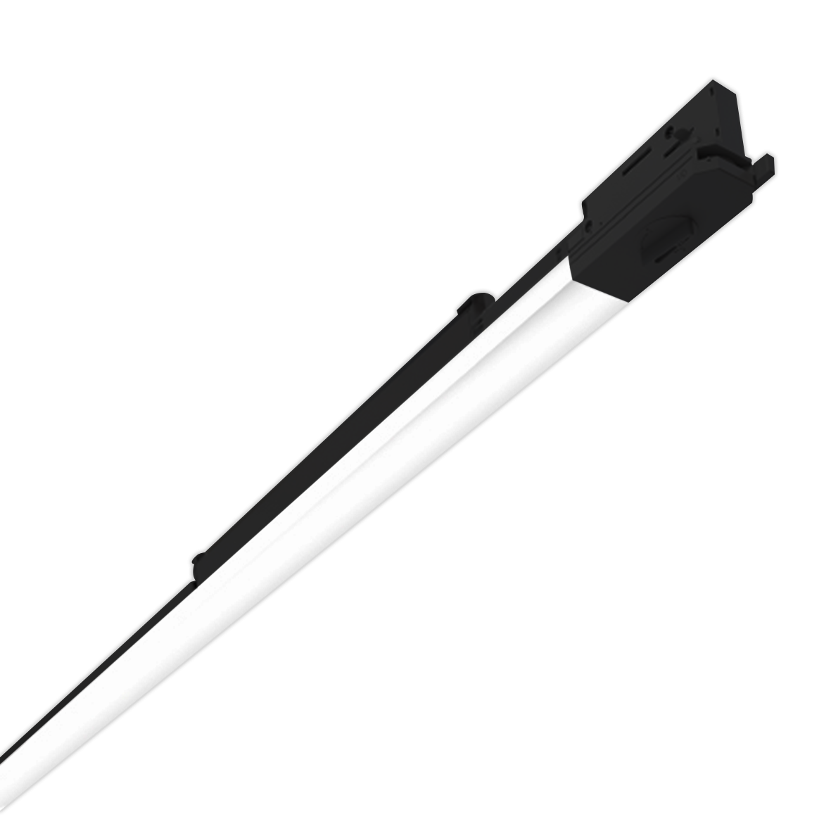 CROCODILE 67080/24-SCW