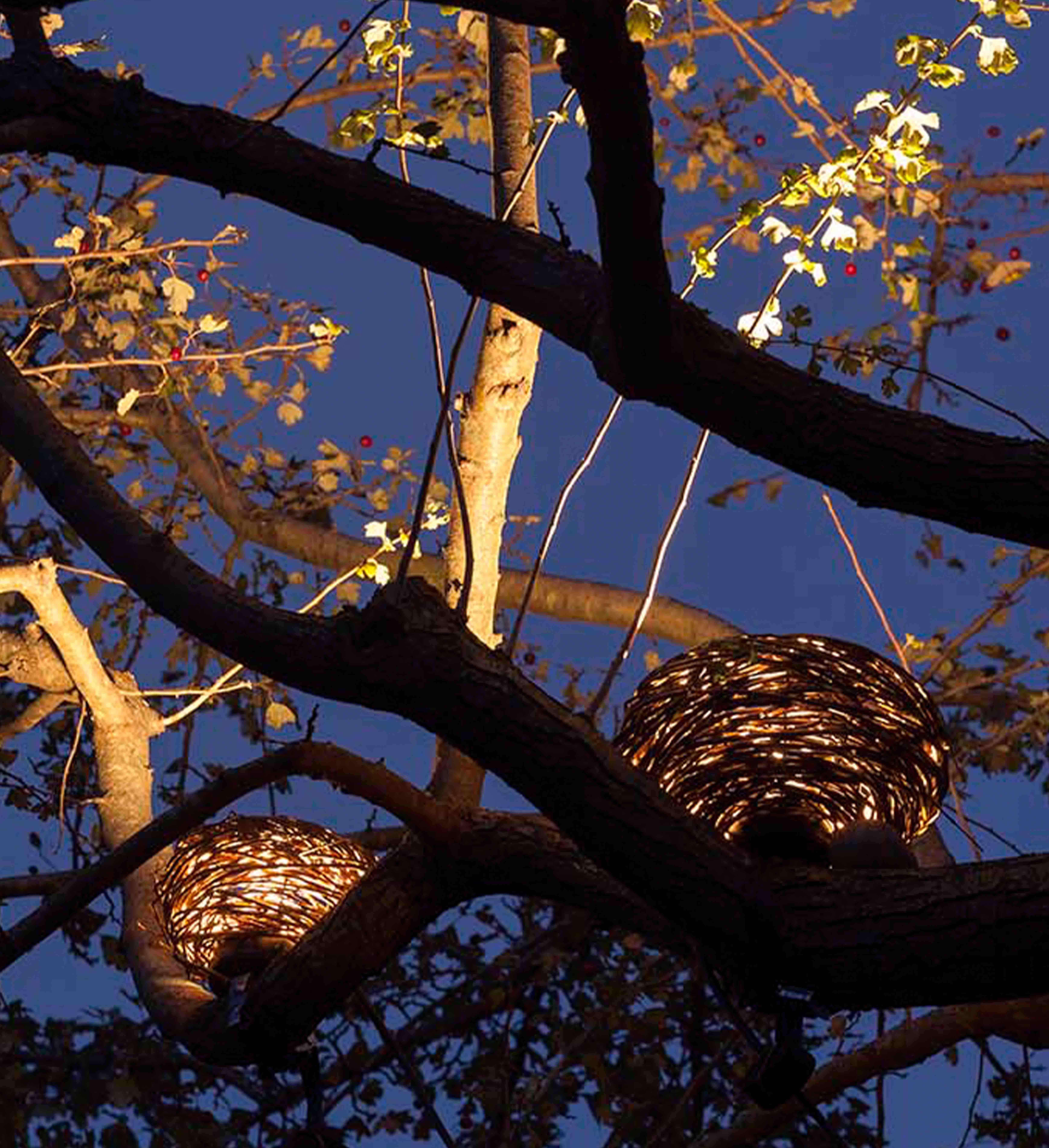 NEST 86840/17-SWW