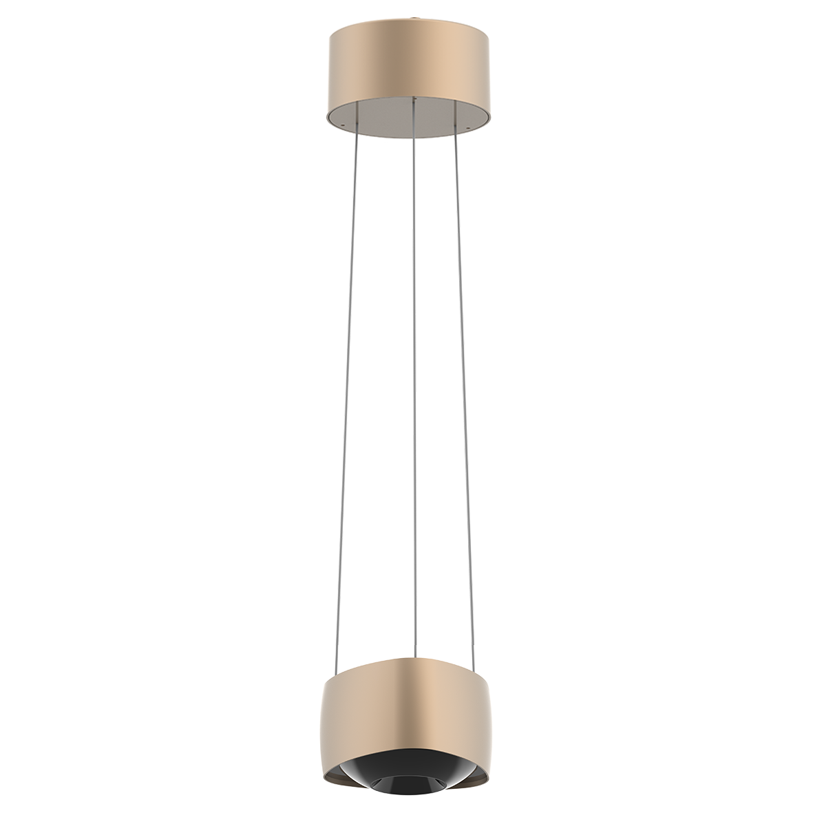 DIGNITY 31903/14-MESWW