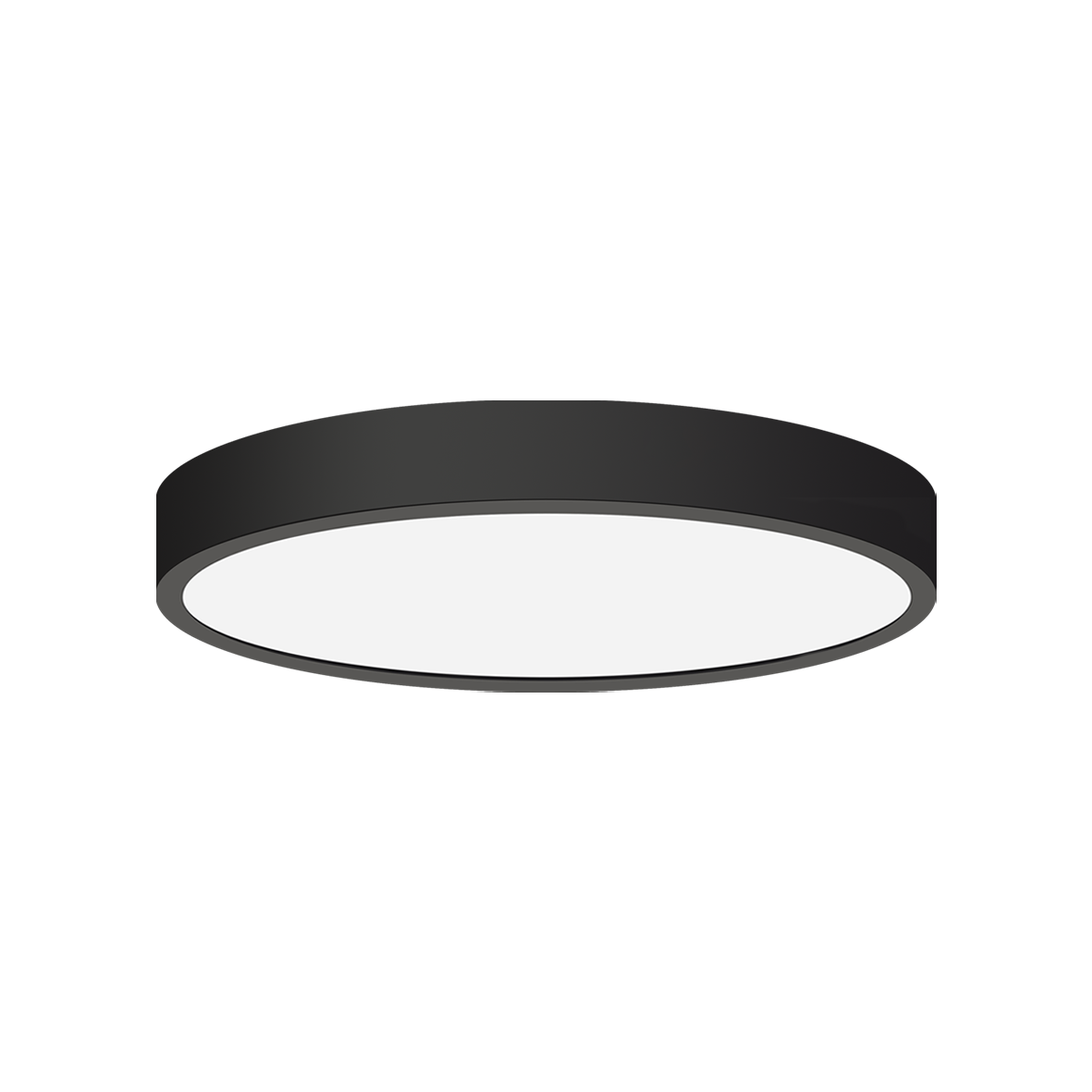 TAYLOR 54975/28-SCCT